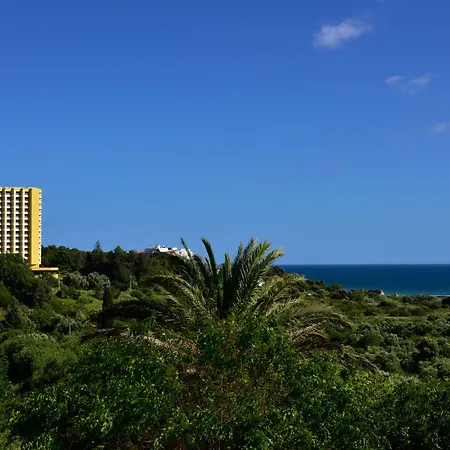 Pestana Blue